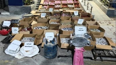 مصادرة 3400 صاروخ ألعاب نارية بالغربية التموين يضرب بيد من حديد لحماية الأطفال