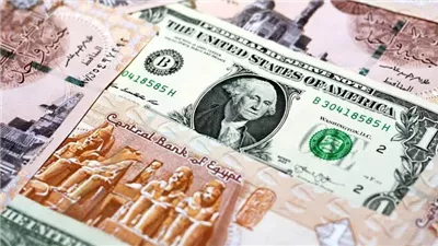 الدولار يرسخ أقدامه فوق 50 جنيهًا.. والبنوك ترفع الأسعار بنهاية التعاملات