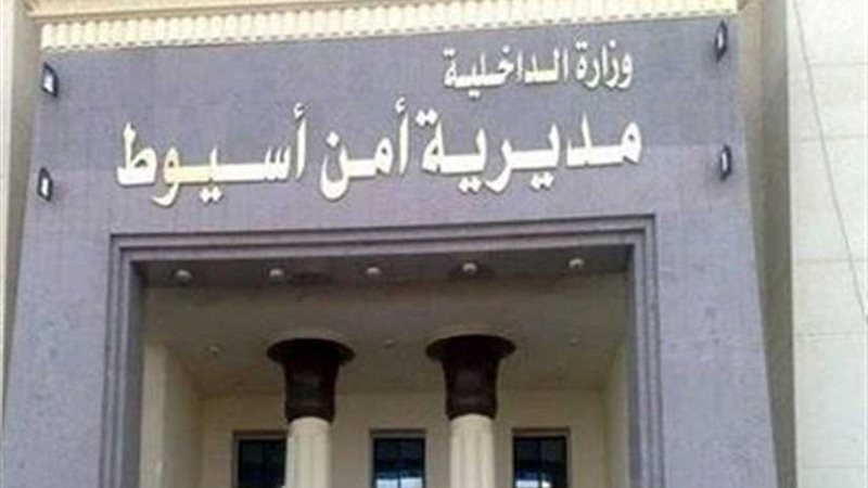 صورة ارشيفيه