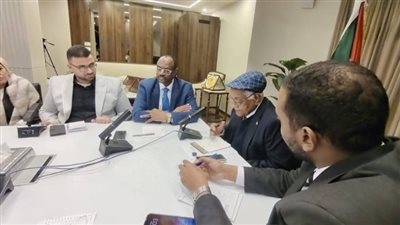 تدشين شبكة الإعلاميين المصريين والسودانيين 