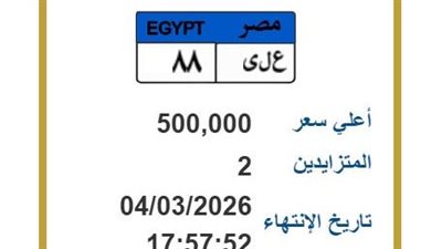 بـ500 ألف جنيه.. منافسة شرسة على اللوحة المعدنية «ع ل ى 88»