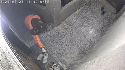 الأمن يتفحص فيديو سرقة أحذية من عامل توصيل أمام شقة سكنية
