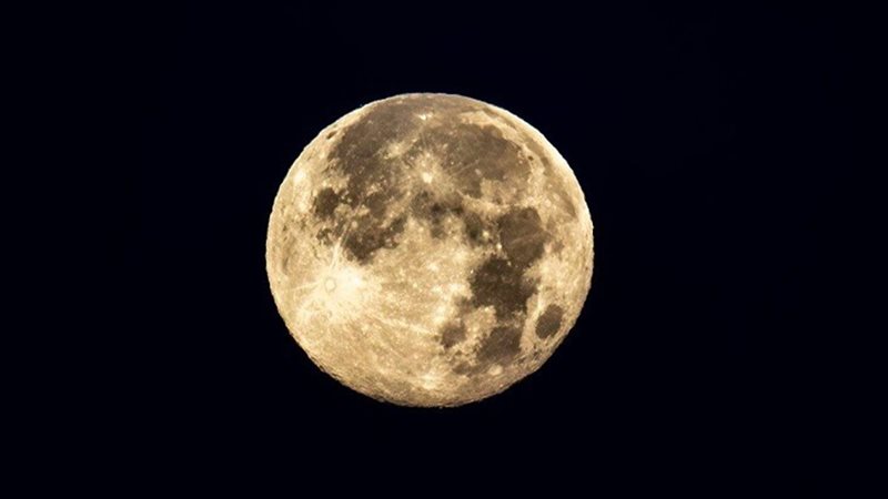 صورة موضوعية