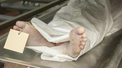 مصرع عامل فى حادث تصادم سيارة ملاكي بمنطقة كرداسة بالجيزة 