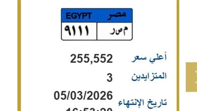 لمحبي التميز.. لوحة «مصر 9111» تشعل باب المزايدة بسعر يتجاوز ربع مليون جنيه