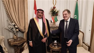 رئيس الوفد: رؤية السيسي في ربط سيناء بالدلتا حماية للأمن القومى