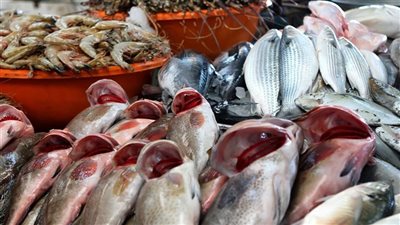 أسعار الأسماك والمأكولات البحرية اليوم الأربعاء 4 مارس 2026 في مصر