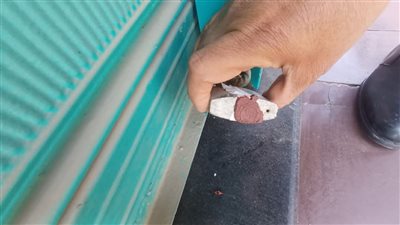 محلى نجع حمادى.. تشميع خمس محلات ذهب تعمل بدون ترخيص 