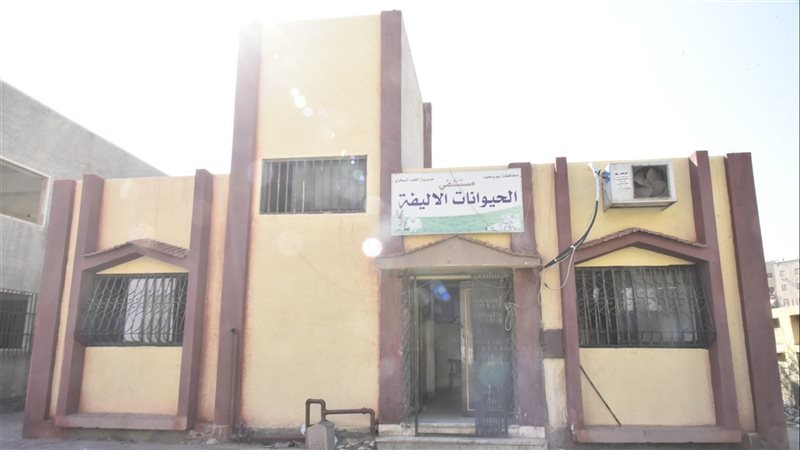 مستشفى الحيوانات