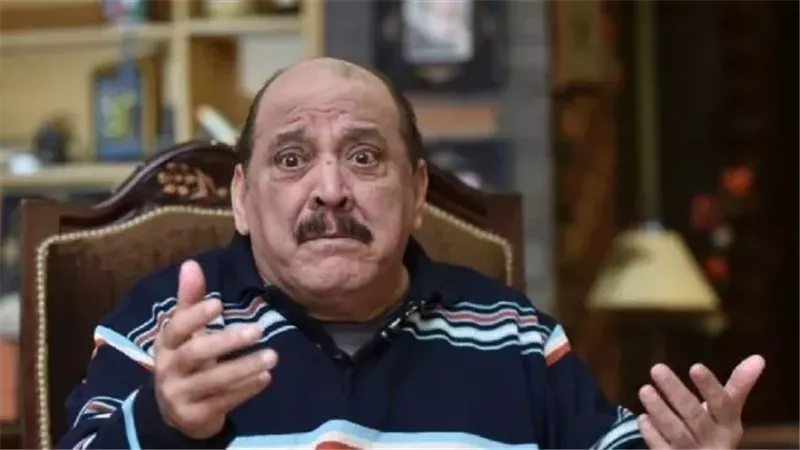 ضياء الميرغني 