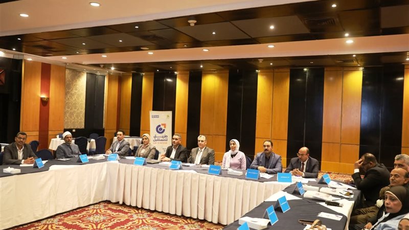 نائب محافظ أسوان