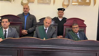 محكمة جنايات البحيرة تثبت حكم السجن المؤبد لمتحرش طفلة الدلنجات