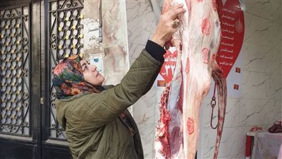ضبط 13 طنًا و500 كيلو لحوم ودواجن مجهولة المصدر بالشرقية