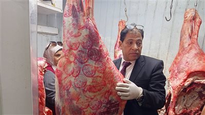 ضبط طن ونصف أسماك فاسدة ببنها خلال حملات مكثفة لبيطري القليوبية في شم النسيم