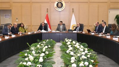 وزراء الصناعة والاستثمار والمالية يبحثون آليات  تعميق وتوطين صناعة السيارات