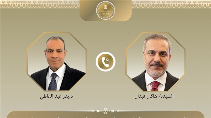 وزيرا خارجية مصر