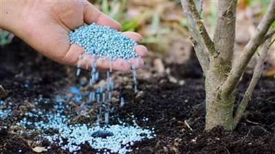 الحرب على إيران تهدد إمدادات الأسمدة عالميا وترفع تكاليف الإنتاج الزراعي
