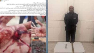 بسبب خلافات مالية.. ضبط متهم بالتعدى على شقيقه بسلاح أبيض في كفر الشيخ
