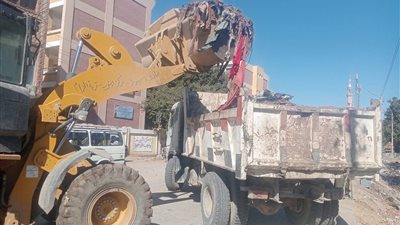محافظ أسيوط: حملات مكثفة للنظافة بمدينة أبنوب ورفع 140 طنًا من المخلفات لتحسين