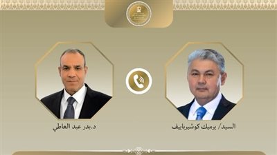 وزير الخارجية يرفض الاعتداءات على الدول العربية الشقيقة ويدعم سيادتها