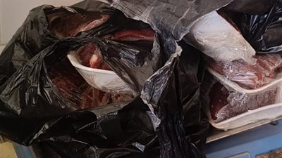 محافظ الغربية يُحكم الرقابة على أسواق اللحوم ويضبط نحو نصف طن لحوم فاسدة 