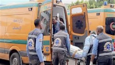 إصابة 6 أشخاص في انقلاب سيارة بيجو على طريق المنصورة الجديدة 