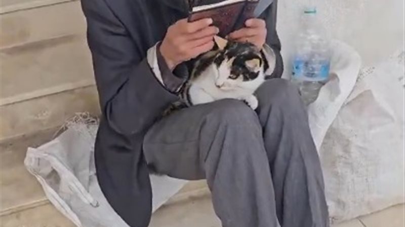 مسن يقرأ القرآن