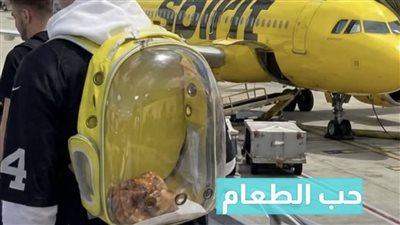 شخص يقوم بإدخال دجاجة مشوية باعتبارها دعما عاطفيا عبر إجراءات التفتيش بالمطار