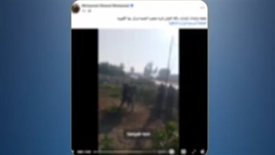 خلاف على قطعة أرض يتحول لمشاجرة بالأسلحة البيضاء في القليوبية