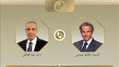 وزير الخارجية ومدير الوكالة الطاقة الذرية يبحثان التصعيد العسكري في المنطقة