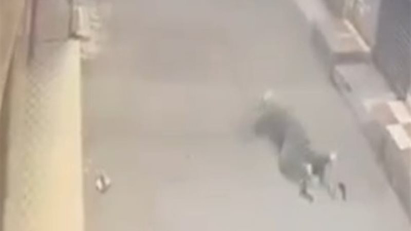 جانب من الواقعة 