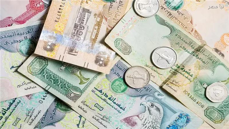 الدرهم الإماراتي