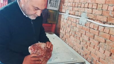 ضبط ٦ أطنان من اللحوم غير صالحة للاستخدام الأدمى بشبرا الخيمة 