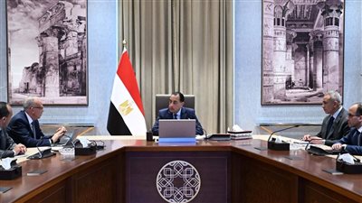 رئيس الوزراء يستعرض مع وزير الري مستجدات عددٍ من مشروعات الوزارة