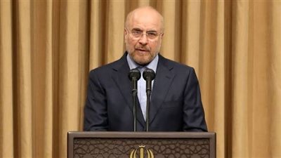 رئيس البرلمان الإيراني: الشعب حظي بقائد أمين يدرك تحديات العصر
