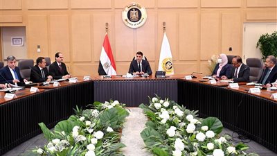 وزير الصناعة يطالب الشركات بالالتزام بدفع مديونيات الغاز لضمان استدامة التشغيل
