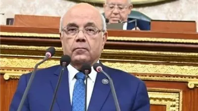 الدكتور محمد الفيومي: أمن الخليج «خط أحمر» وتحركات الرئيس السيسي صمام أمان 