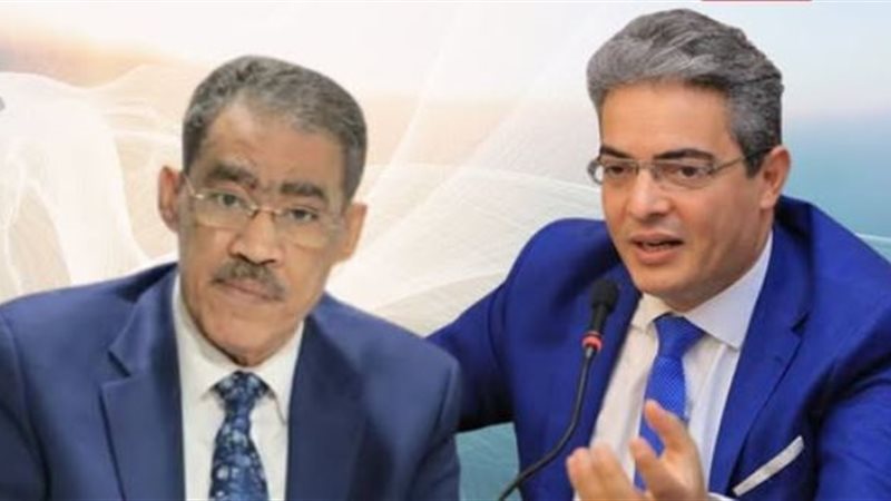 طارق سعدة وضياء رشوان