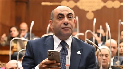 نائب: كلمة الرئيس السيسي في يوم الشهيد تؤكد دور مصر في حماية الوطن