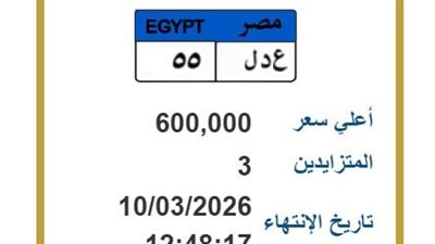 بـ600 ألف جنيه.. «عدل 55» تشعل مزاد اللوحات المميزة