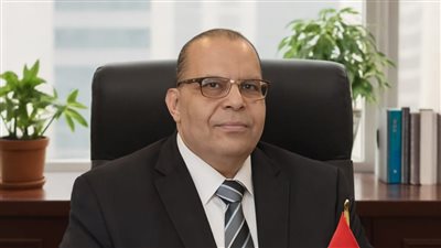 عمرو الفارسي: محورية مصر في إدارة الأزمات الإقليمية تمثل صمام أمان 
