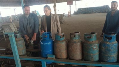 تموين الدقهلية: تحرير 174 مخالفة تموينية وضبط 270 بطاقة تموينية