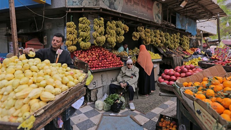 كيف تحمي الحكومة