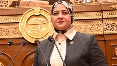 النائبة مروة قنصوه تناقش دعم الاستثمار في محطات الطاقة الشمسية أعلى المباني