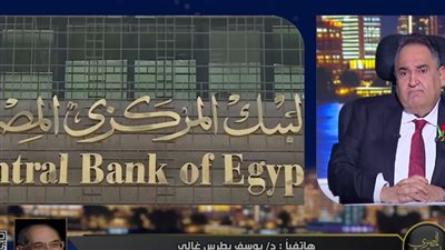 يوسف بطرس غالي: ارتفاع الجنيه 10% خلال أيام مرتبط بالأموال الساخنة