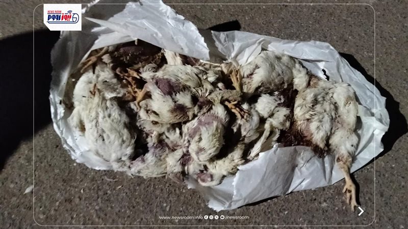 المضبوطات 