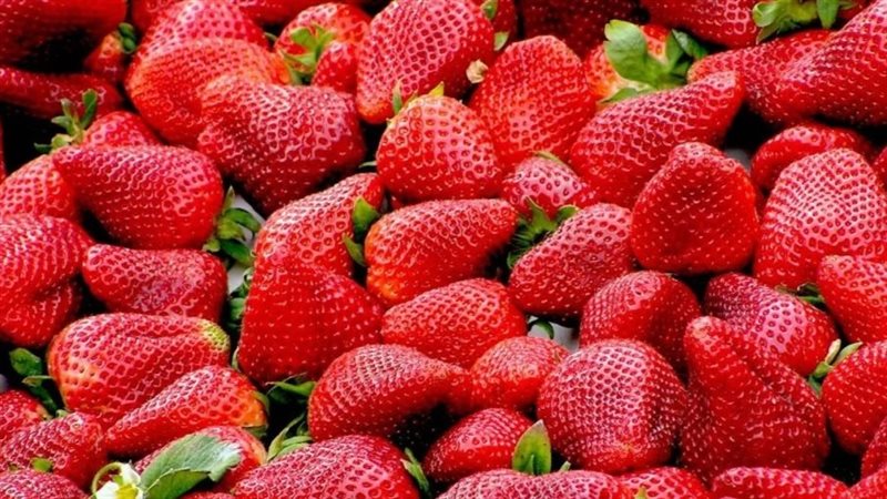 للسيطرة على سكر الدم…