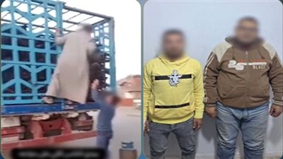 الداخلية تكشف حقيقة فيديو محسوبية إسطوانة الغاز بالبحيرة