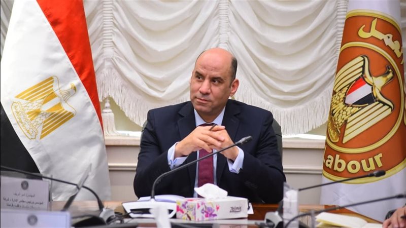 وزير العمل
