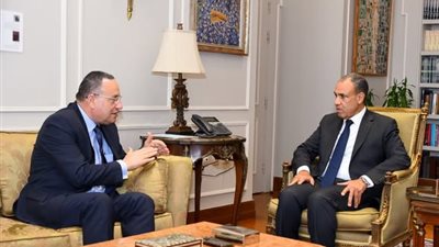وزير الخارجية يشدد على دور المكاتب الثقافية لتعزيز الروابط مع الجاليات المصرية